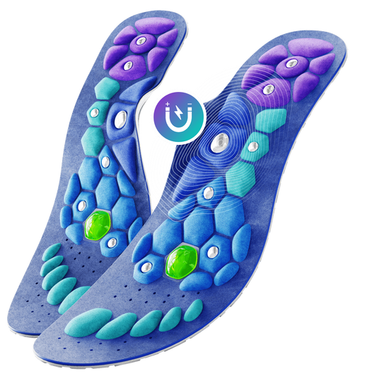 NeuroSole