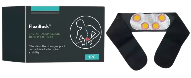 FlexiBack Pain